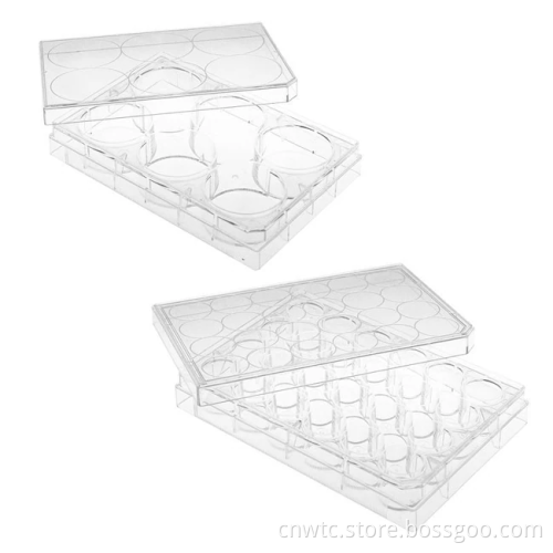 Search Engine Title: Tissue Culture Lab Supplies - 96 Well & 6 Well TC Treated Plates
